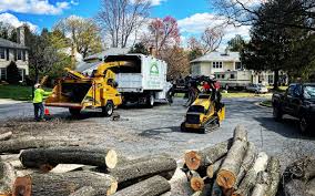 Best Emergency Tree Removal Services  in Roxboro, NC